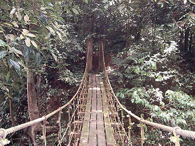 Rope bridge into Teman park